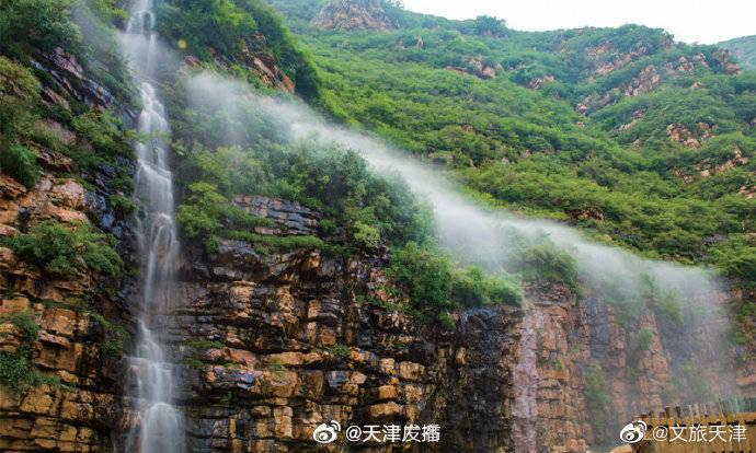 细胞分裂5